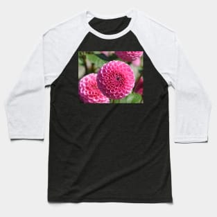 Pink Dahlias Baseball T-Shirt